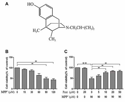 Pentazocine Protects SN4741 Cells Against MPP+-Induced Cell Damage via Up-Regulation of the Canonical Wnt/β-Catenin Signaling Pathway